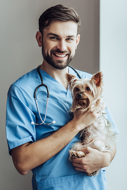 Vet with Small Dog